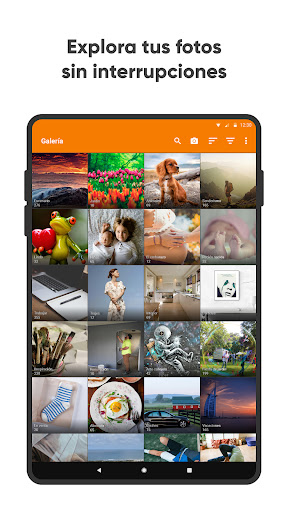 Captura de pantalla de Galería Simple Pro