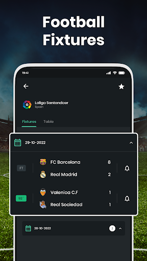 Football Live Scores & News screenshot