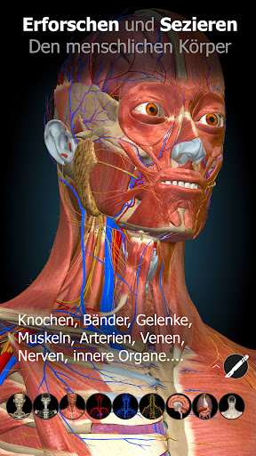 3D-Anatomie - Anatomy Learning Screenshot
