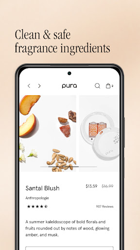 Pura screenshot