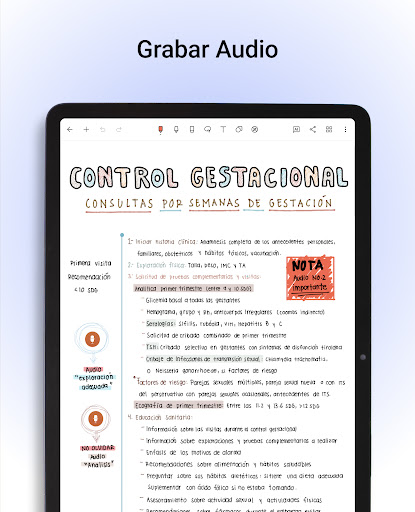 Captura de pantalla de Noteshelf - Notas, Anotaciones