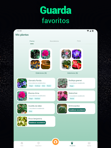 Captura de pantalla de Plantum - Identificar plantas