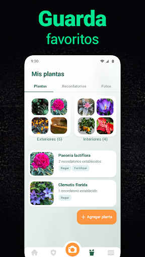 Captura de pantalla de Plantum - Identificar plantas