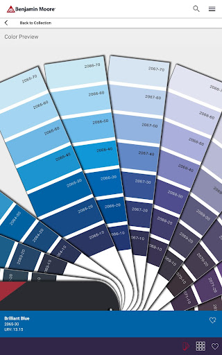 Color Portfolio screenshot