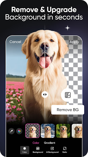 Picsart AI Photo Editor, Video screenshot