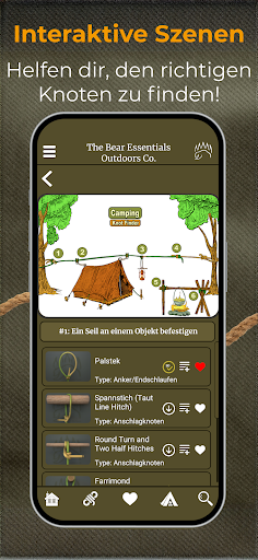 Knot IQ - The Bear Essentials Screenshot
