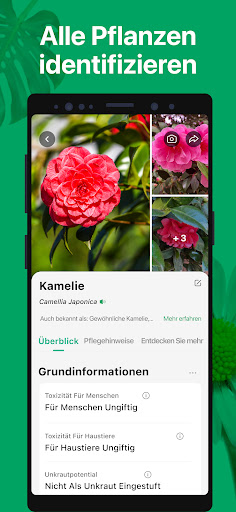PictureThis:Pflanzen bestimmen Screenshot