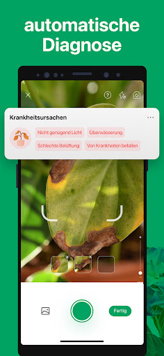 PictureThis:Pflanzen bestimmen Screenshot