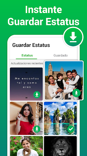Captura de pantalla de Descargador de Estados y Video