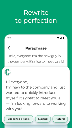 Grammar Check by AI Writing Screenshot