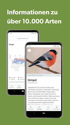 Merlin Bird ID von Cornell Lab Screenshot