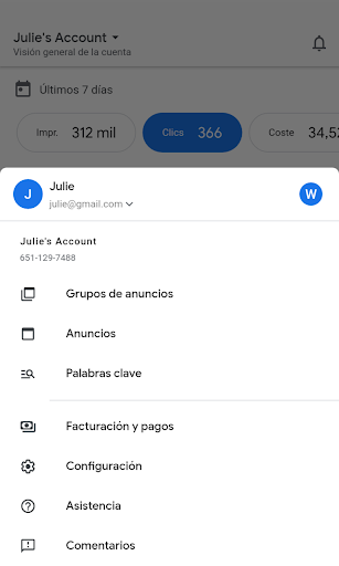 Captura de pantalla de Google Ads
