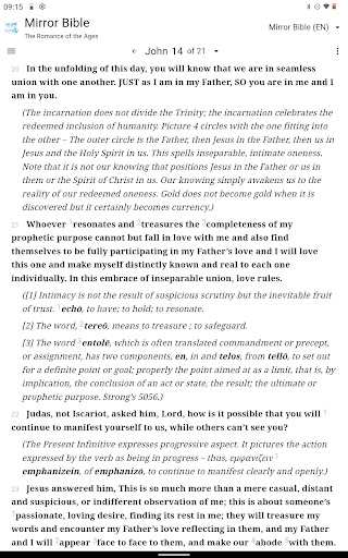 Mirror Study Bible screenshot