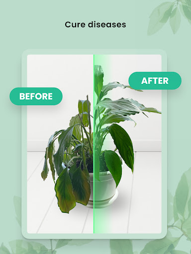 PlantIn - Pflanzen erkennen Screenshot