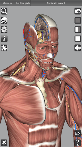 Captura de pantalla de 3D Anatomy