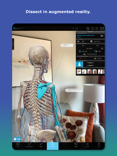 Human Anatomy Atlas 2026 screenshot