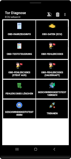 Tor OBD2 Diagnose Screenshot