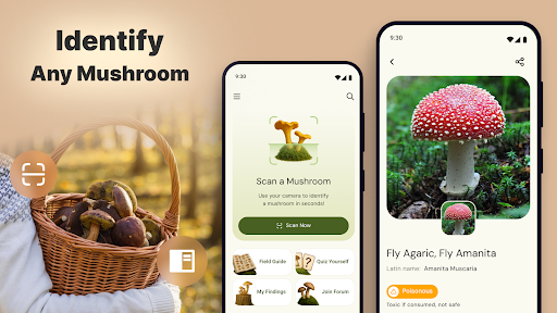 Mushroom Identification screenshot