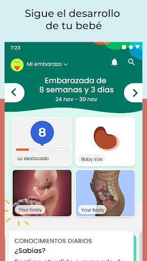 Captura de pantalla de Mi embarazo y bebé