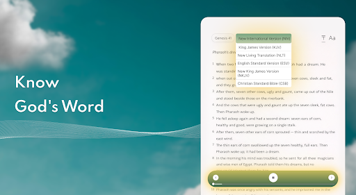 Bible Chat - Holy Bible Study screenshot