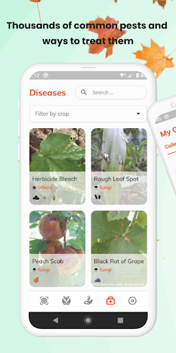 Captura de pantalla de PlantID - identificación