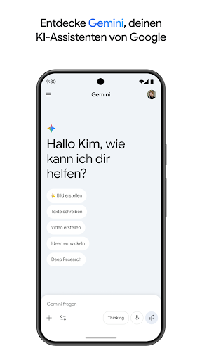 Google Gemini Screenshot