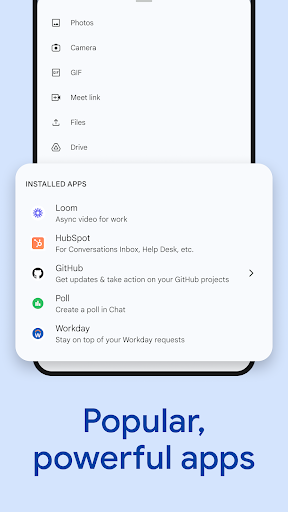 Google Chat screenshot