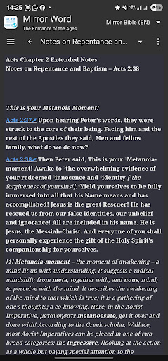 Mirror Study Bible screenshot