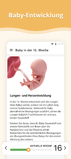 Schwangerschafts-App Screenshot