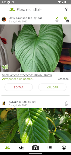 Captura de pantalla de PlantNet Identifica Plantas