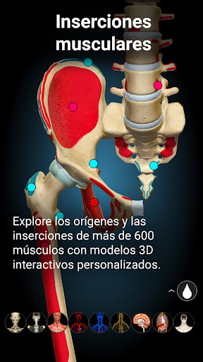 Captura de pantalla de Anatomy Learning - Anatomía 3D