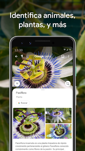 Captura de pantalla de Google Lens