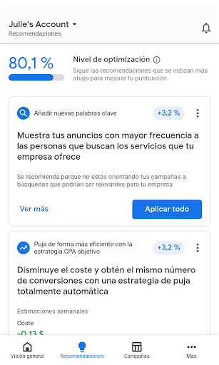 Captura de pantalla de Google Ads