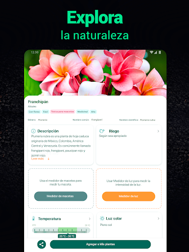 Captura de pantalla de Plantum - Identificar plantas