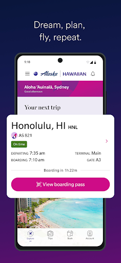 Alaska Hawaiian screenshot