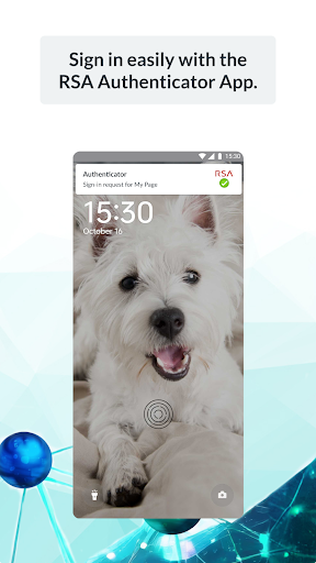 RSA Authenticator (SecurID) screenshot
