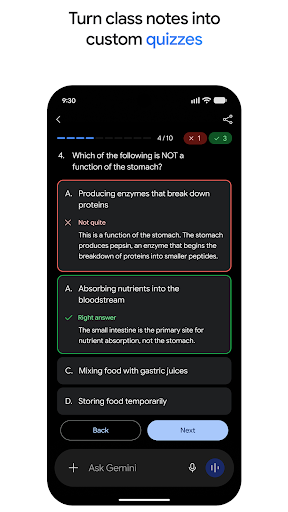 Google Gemini screenshot