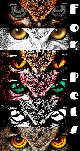 Captura de pantalla de FoxEyes - Change Eye Color
