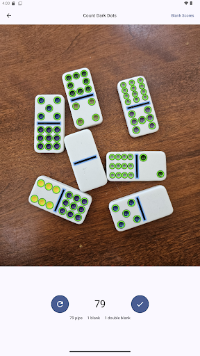 Domino Dot Counter screenshot