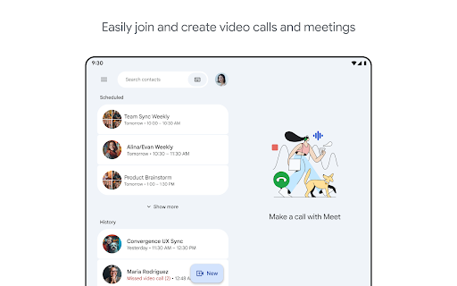 Google Meet screenshot