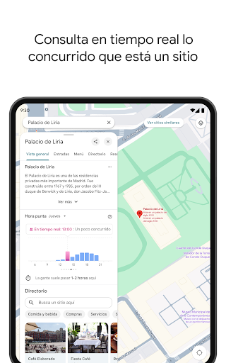 Captura de pantalla de Google Maps