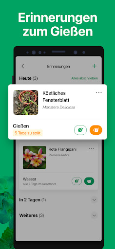 PictureThis:Pflanzen bestimmen Screenshot