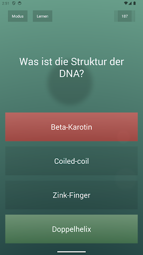 Endlos-Quiz Pro Screenshot