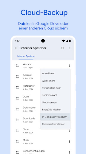 Files by Google Screenshot