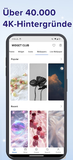 WidgetClub: Widget, Icon,Theme Screenshot