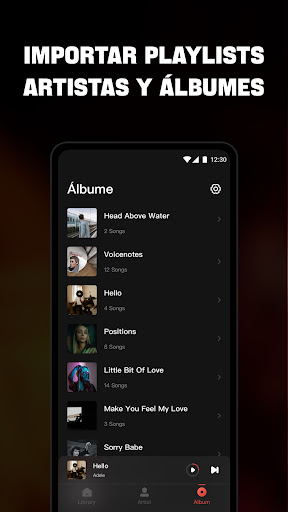 Captura de pantalla de Musica Offline player- Mixtube