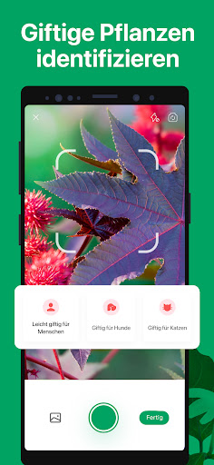 PictureThis:Pflanzen bestimmen Screenshot