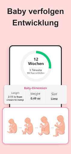 Schwangerschaft Rechner Screenshot