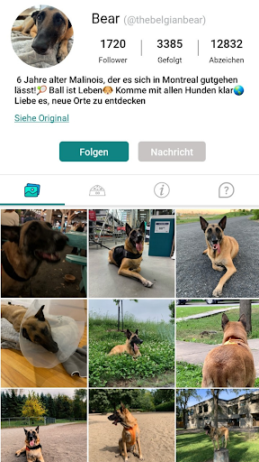 DogPack: Hundefreundliche Orte Screenshot