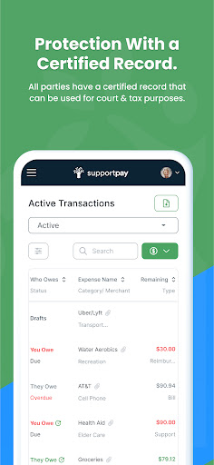 Captura de pantalla de SupportPay: Gestión de Gastos